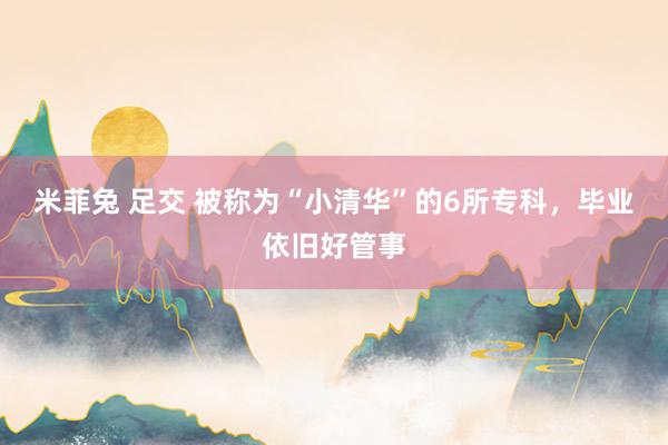 米菲兔 足交 被称为“小清华”的6所专科,毕业依旧好管事