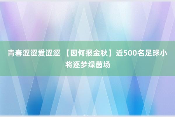 青春涩涩爱涩涩 【因何报金秋】近500名足球小将逐梦绿茵场