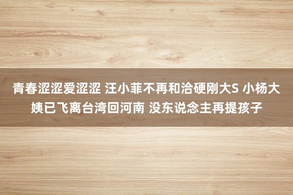 青春涩涩爱涩涩 汪小菲不再和洽硬刚大S 小杨大姨已飞离台湾回河南 没东说念主再提孩子