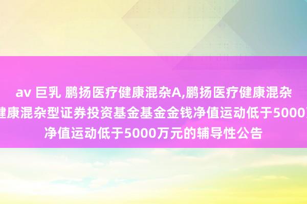 av 巨乳 鹏扬医疗健康混杂A,鹏扬医疗健康混杂C: 对于鹏扬医疗健康混杂型证券投资基金基金金钱净值运动低于5000万元的辅导性公告