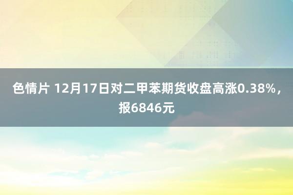色情片 12月17日对二甲苯期货收盘高涨0.38%，报6846元