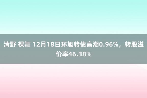清野 裸舞 12月18日环旭转债高潮0.96%,转股溢价率46.38%