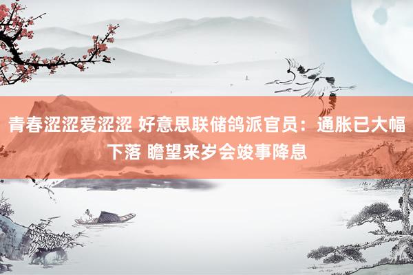 青春涩涩爱涩涩 好意思联储鸽派官员：通胀已大幅下落 瞻望来岁会竣事降息