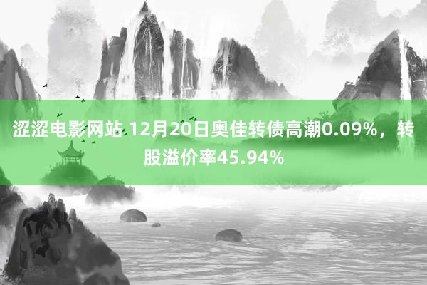 涩涩电影网站 12月20日奥佳转债高潮0.09%，转股溢价率45.94%