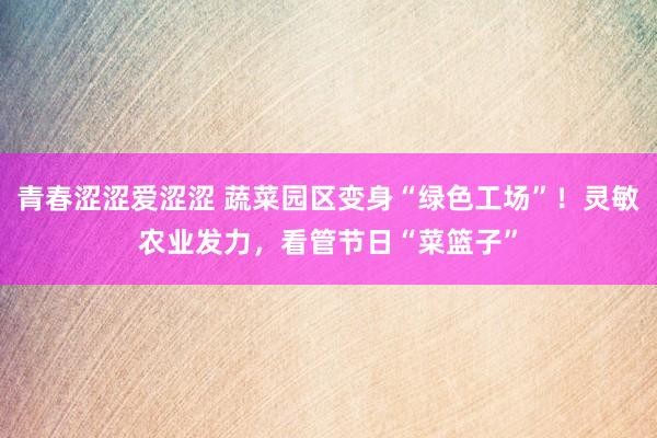 青春涩涩爱涩涩 蔬菜园区变身“绿色工场”！灵敏农业发力，看管节日“菜篮子”