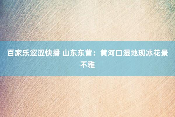 百家乐涩涩快播 山东东营：黄河口湿地现冰花景不雅