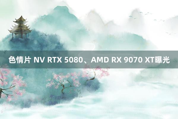 色情片 NV RTX 5080、AMD RX 9070 XT曝光