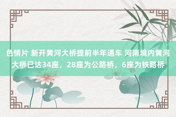 色情片 新开黄河大桥提前半年通车 河南境内黄河大桥已达34座,28座为公路桥,6座为铁路桥