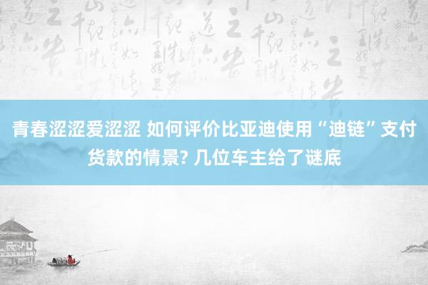 青春涩涩爱涩涩 如何评价比亚迪使用“迪链”支付货款的情景? 几位车主给了谜底