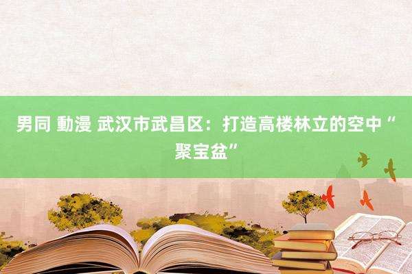 男同 動漫 武汉市武昌区：打造高楼林立的空中“聚宝盆”