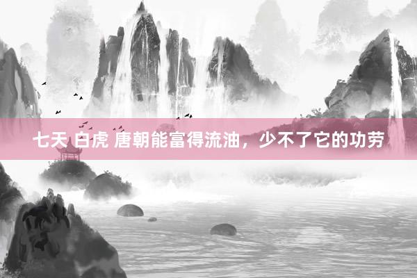 七天 白虎 唐朝能富得流油，少不了它的功劳