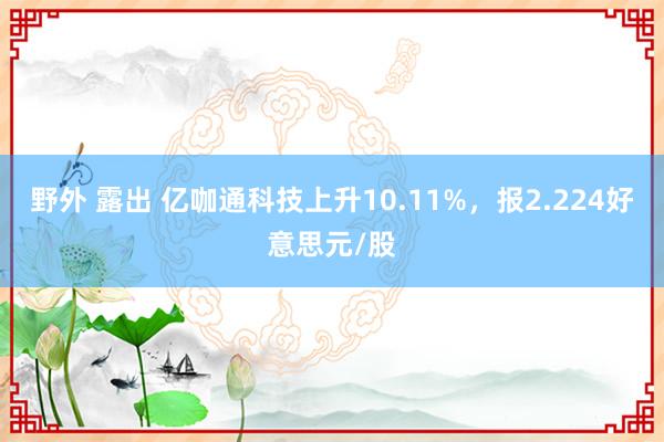 野外 露出 亿咖通科技上升10.11%，报2.224好意思元/股