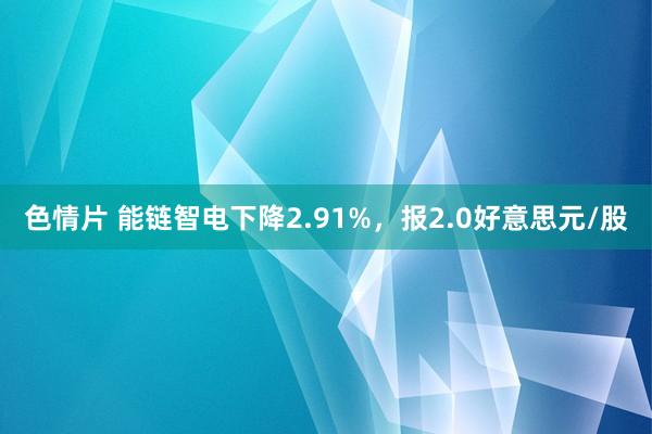色情片 能链智电下降2.91%，报2.0好意思元/股