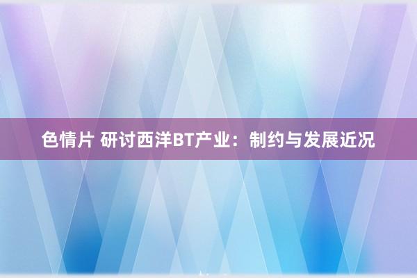 色情片 研讨西洋BT产业：制约与发展近况