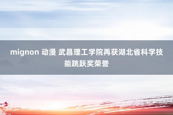 mignon 动漫 武昌理工学院再获湖北省科学技能跳跃奖荣誉