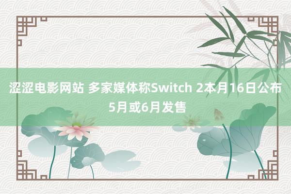 涩涩电影网站 多家媒体称Switch 2本月16日公布 5月或6月发售
