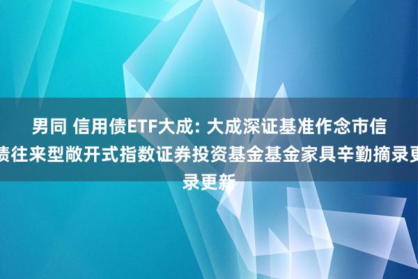 男同 信用债ETF大成: 大成深证基准作念市信用债往来型敞开式指数证券投资基金基金家具辛勤摘录更新
