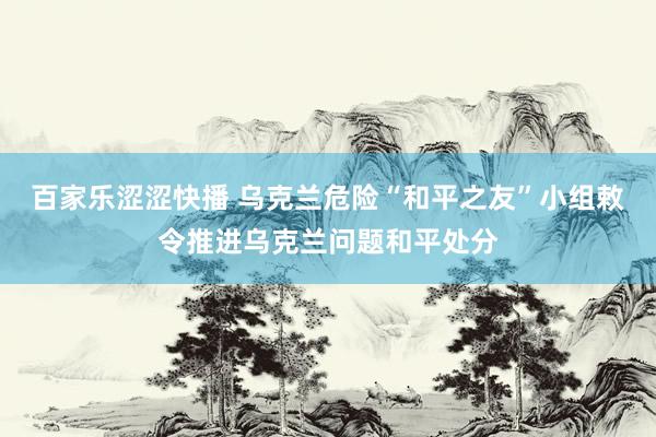 百家乐涩涩快播 乌克兰危险“和平之友”小组敕令推进乌克兰问题和平处分