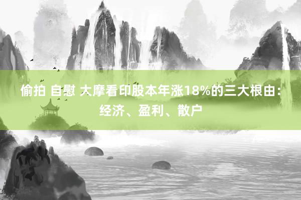 偷拍 自慰 大摩看印股本年涨18%的三大根由：经济、盈利、散户