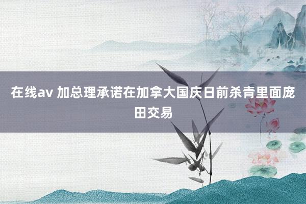 在线av 加总理承诺在加拿大国庆日前杀青里面庞田交易