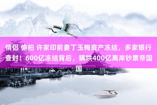 情侣 偷拍 许家印前妻丁玉梅资产冻结，多家银行查封！600亿冻结背后，瞒哄400亿离岸钞票帝国