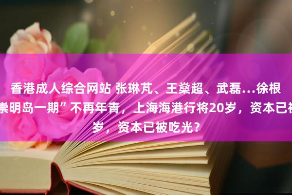 香港成人综合网站 张琳芃、王燊超、武磊…徐根宝的“崇明岛一期”不再年青，上海海港行将20岁，资本已被吃光？