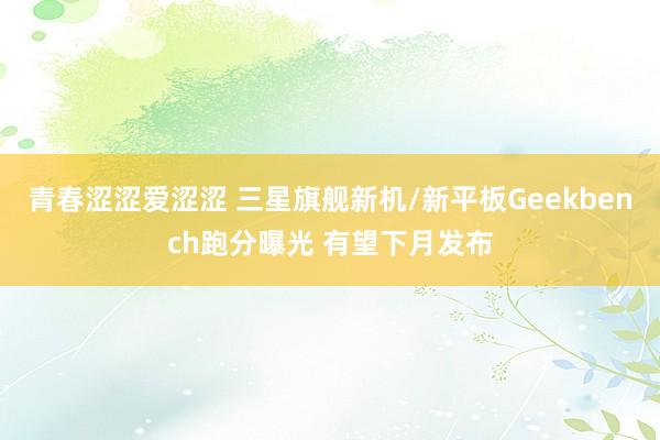 青春涩涩爱涩涩 三星旗舰新机/新平板Geekbench跑分曝光 有望下月发布