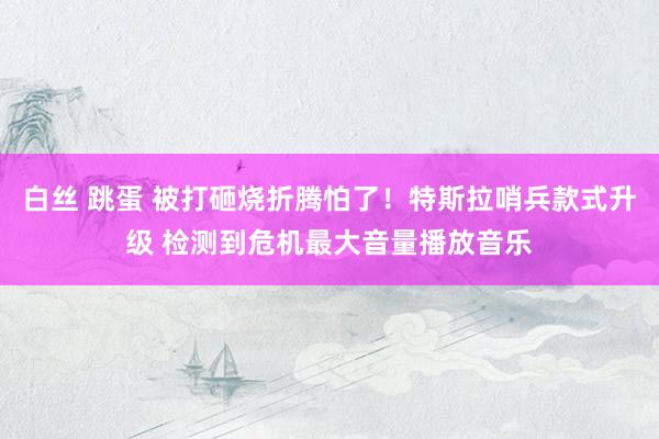 白丝 跳蛋 被打砸烧折腾怕了！特斯拉哨兵款式升级 检测到危机最大音量播放音乐