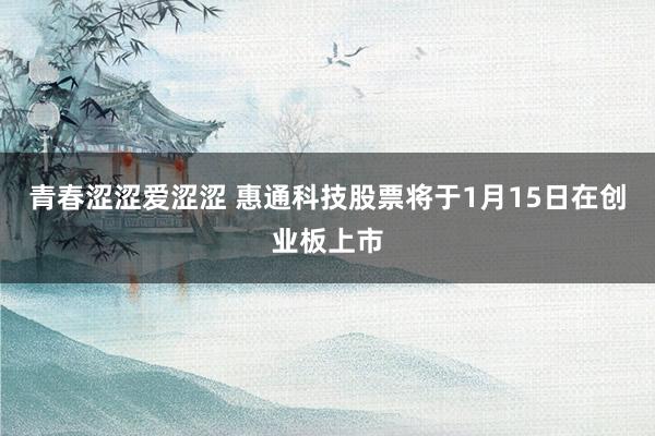 青春涩涩爱涩涩 惠通科技股票将于1月15日在创业板上市