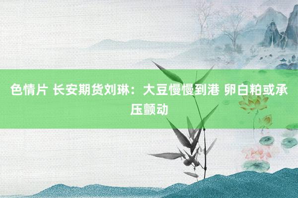 色情片 长安期货刘琳：大豆慢慢到港 卵白粕或承压颤动