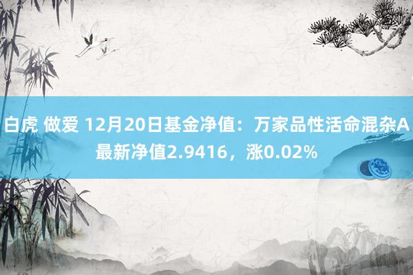白虎 做爱 12月20日基金净值：万家品性活命混杂A最新净值2.9416，涨0.02%