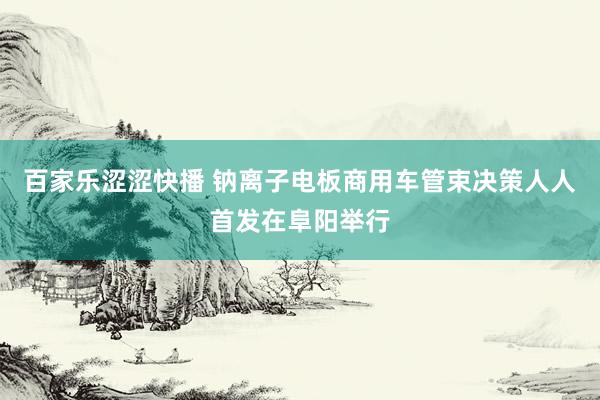 百家乐涩涩快播 钠离子电板商用车管束决策人人首发在阜阳举行