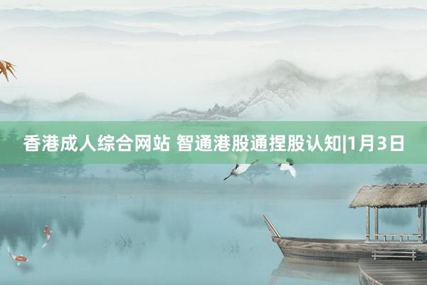 香港成人综合网站 智通港股通捏股认知|1月3日