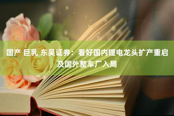国产 巨乳 东吴证券：看好国内锂电龙头扩产重启及国外整车厂入局