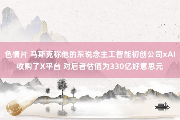 色情片 马斯克称他的东说念主工智能初创公司xAI收购了X平台 对后者估值为330亿好意思元