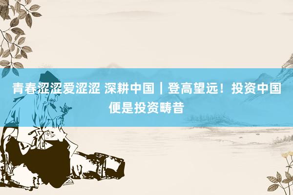 青春涩涩爱涩涩 深耕中国｜登高望远！投资中国便是投资畴昔