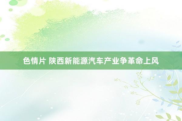 色情片 陕西新能源汽车产业争革命上风