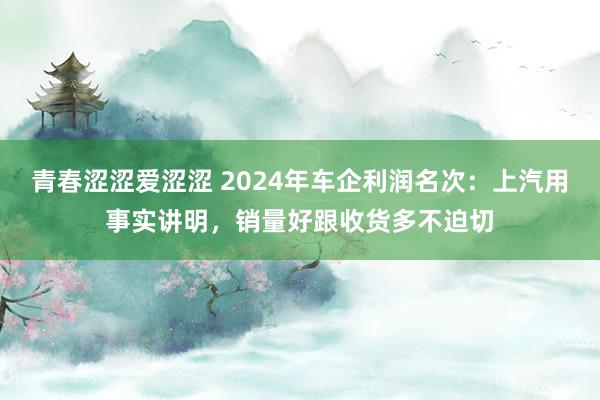 青春涩涩爱涩涩 2024年车企利润名次：上汽用事实讲明，销量好跟收货多不迫切