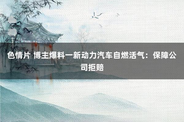 色情片 博主爆料一新动力汽车自燃活气：保障公司拒赔