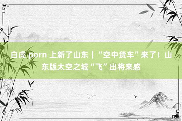 白虎 porn 上新了山东｜“空中货车”来了！山东版太空之城“飞”出将来感