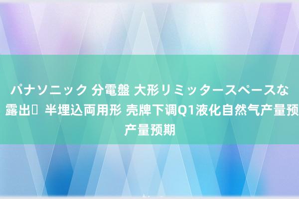 パナソニック 分電盤 大形リミッタースペースなし 露出・半埋込両用形 壳牌下调Q1液化自然气产量预期