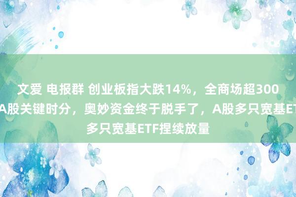 文爱 电报群 创业板指大跌14%，全商场超3000股跌停，A股关键时分，奥妙资金终于脱手了，A股多只宽基ETF捏续放量