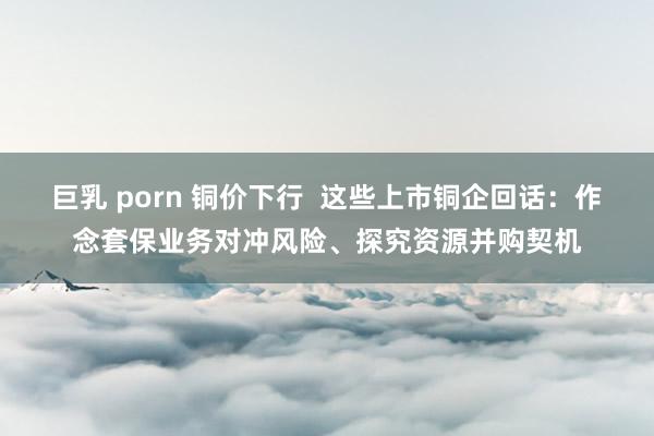 巨乳 porn 铜价下行  这些上市铜企回话：作念套保业务对冲风险、探究资源并购契机