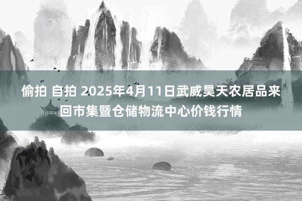 偷拍 自拍 2025年4月11日武威昊天农居品来回市集暨仓储物流中心价钱行情