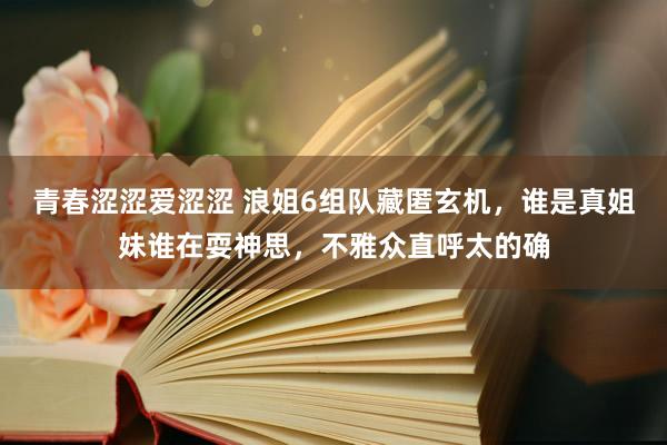 青春涩涩爱涩涩 浪姐6组队藏匿玄机，谁是真姐妹谁在耍神思，不雅众直呼太的确