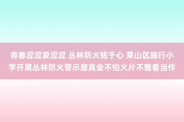 青春涩涩爱涩涩 丛林防火铭于心 莱山区施行小学开展丛林防火警示磨真金不怕火片不雅看当作