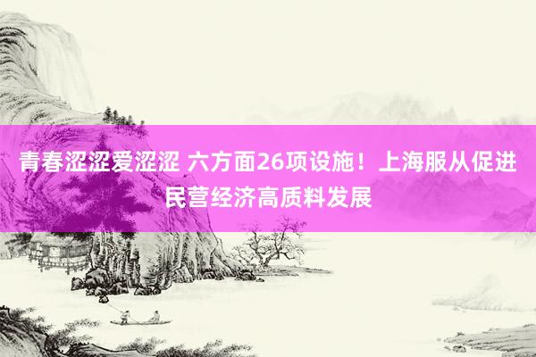 青春涩涩爱涩涩 六方面26项设施！上海服从促进民营经济高质料发展