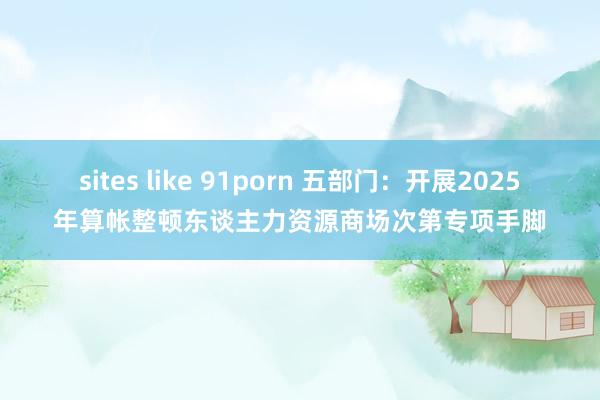 sites like 91porn 五部门：开展2025年算帐整顿东谈主力资源商场次第专项手脚