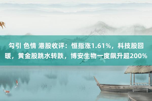 勾引 色情 港股收评：恒指涨1.61%，科技股回暖，黄金股跳水转跌，博安生物一度飙升超200%