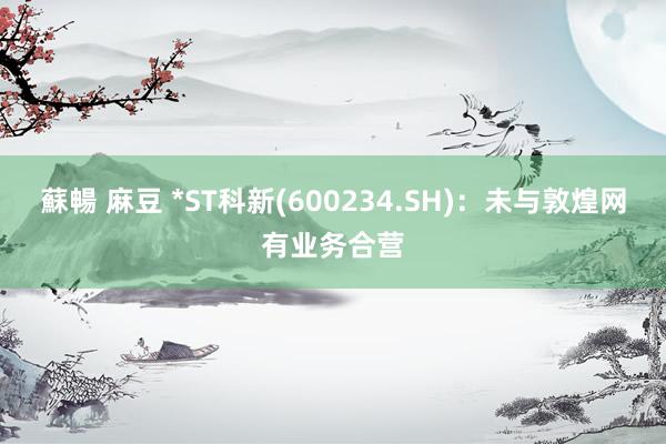 蘇暢 麻豆 *ST科新(600234.SH)：未与敦煌网有业务合营